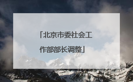 北京市委社会工作部部长调整
