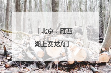 北京：雁西湖上赛龙舟