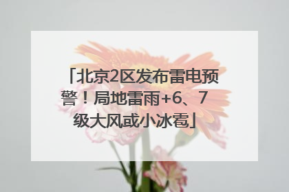 北京2区发布雷电预警！局地雷雨+6、7级大风或小冰雹