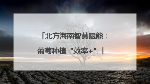 北方海南智慧赋能：葡萄种植“效率+”