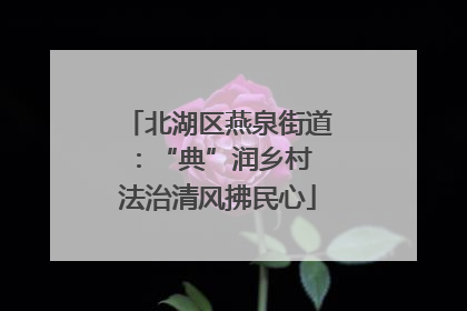北湖区燕泉街道：“典”润乡村 法治清风拂民心
