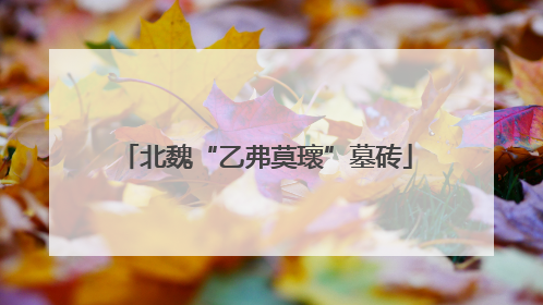 北魏“乙弗莫瓌”墓砖