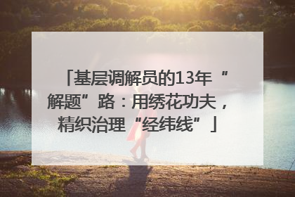 基层调解员的13年“解题”路：用绣花功夫，精织治理“经纬线”