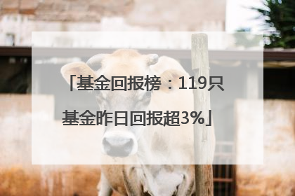 基金回报榜：119只基金昨日回报超3%