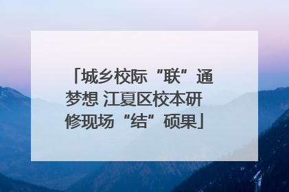 城乡校际“联”通梦想 江夏区校本研修现场“结”硕果