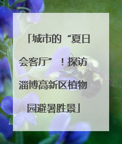 城市的“夏日会客厅”！探访淄博高新区植物园避暑胜景