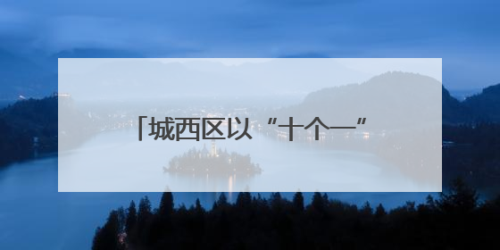 城西区以“十个一”赋能年轻干部成长