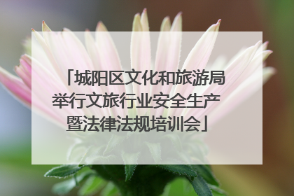 城阳区文化和旅游局举行文旅行业安全生产暨法律法规培训会