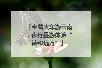 坐着火车游云南：夜行昼游体验“诗和远方”