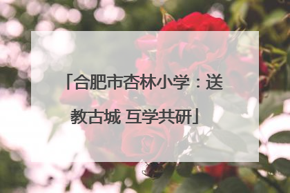 合肥市杏林小学：送教古城 互学共研