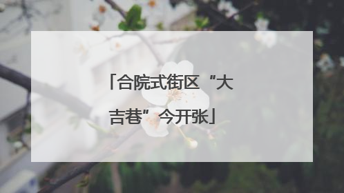 合院式街区“大吉巷”今开张