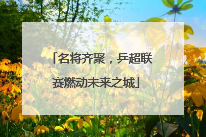 名将齐聚，乒超联赛燃动未来之城