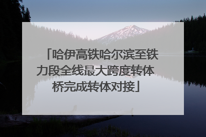 哈伊高铁哈尔滨至铁力段全线最大跨度转体桥完成转体对接