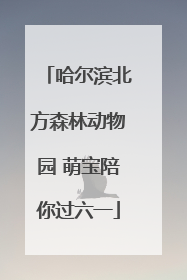 哈尔滨北方森林动物园 萌宝陪你过六一