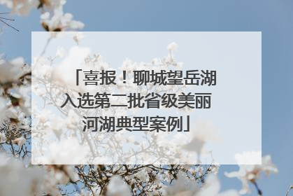 喜报！聊城望岳湖入选第二批省级美丽河湖典型案例