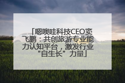 嗯噢哇科技CEO窦飞鹏：共创旅游专业能力认知平台，激发行业“自生长”力量