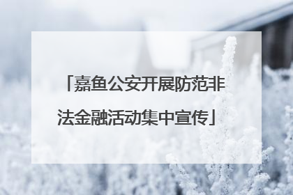 嘉鱼公安开展防范非法金融活动集中宣传