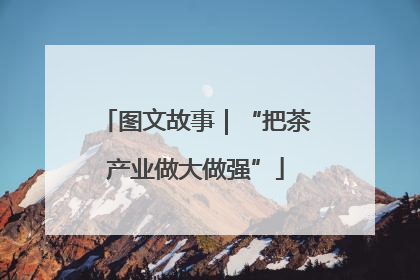 图文故事｜“把茶产业做大做强”