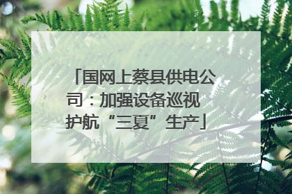 国网上蔡县供电公司：加强设备巡视 护航“三夏”生产