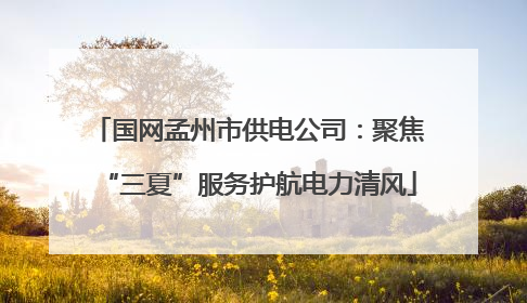 国网孟州市供电公司：聚焦“三夏”服务护航电力清风