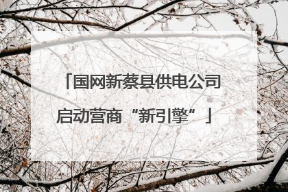 国网新蔡县供电公司启动营商“新引擎”