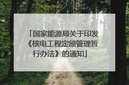 国家能源局关于印发《核电工程定额管理暂行办法》的通知