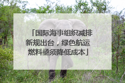 国际海事组织减排新规出台，绿色航运燃料亟须降低成本