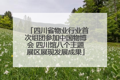 四川省物业行业首次组团参加中国物博会 四川馆八个主题展区展现发展成果