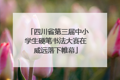 四川省第三届中小学生硬笔书法大赛在威远落下帷幕