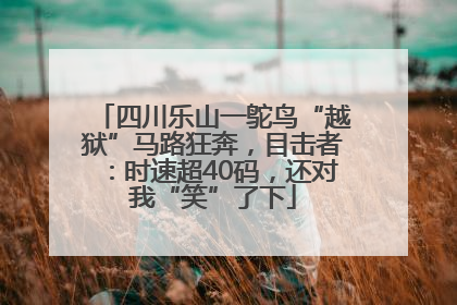 四川乐山一鸵鸟“越狱”马路狂奔，目击者：时速超40码，还对我“笑”了下