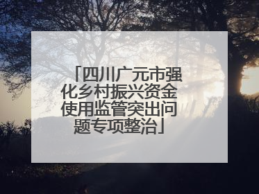 四川广元市强化乡村振兴资金使用监管突出问题专项整治