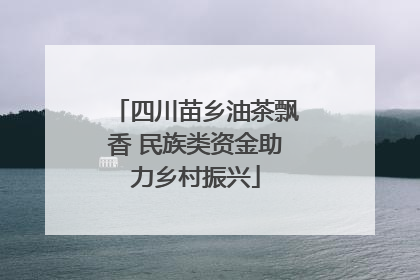 四川苗乡油茶飘香 民族类资金助力乡村振兴