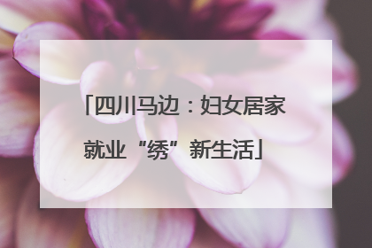 四川马边：妇女居家就业“绣”新生活