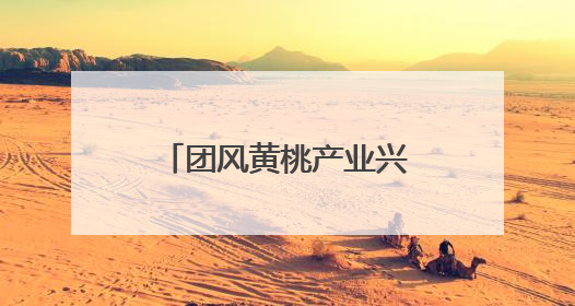 团风黄桃产业兴旺 助力127户村民增收致富