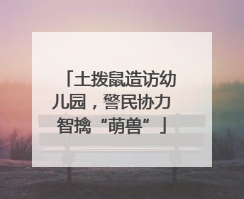 土拨鼠造访幼儿园，警民协力智擒“萌兽”