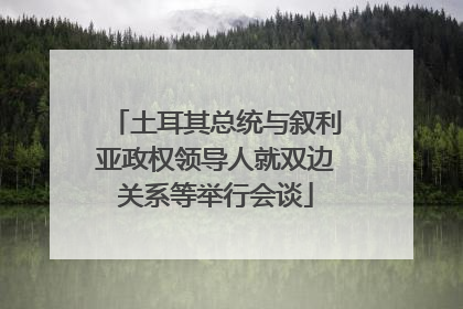 土耳其总统与叙利亚政权领导人就双边关系等举行会谈