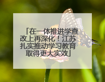 在一体推进学查改上再深化！江苏扎实推动学习教育取得更大实效
