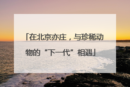 在北京亦庄，与珍稀动物的“下一代”相遇
