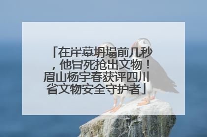 在崖墓坍塌前几秒，他冒死抢出文物！眉山杨宇春获评四川省文物安全守护者