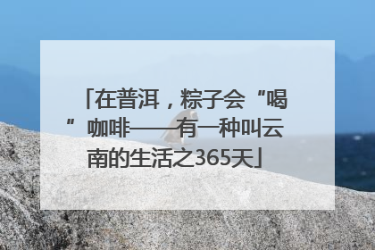 在普洱，粽子会“喝”咖啡——有一种叫云南的生活之365天
