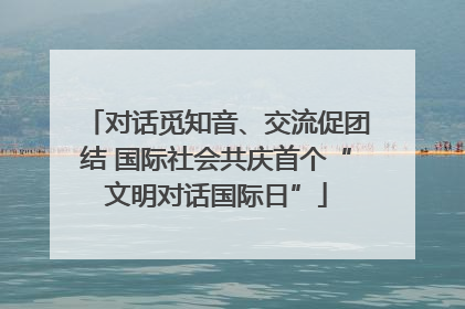 对话觅知音、交流促团结 国际社会共庆首个“文明对话国际日”