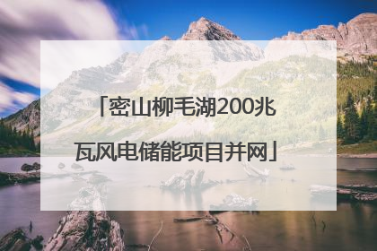 密山柳毛湖200兆瓦风电储能项目并网