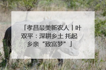 孝昌最美新农人丨叶双平：深耕乡土 托起乡亲“致富梦”