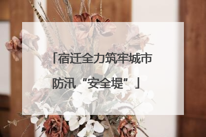 宿迁全力筑牢城市防汛“安全堤”