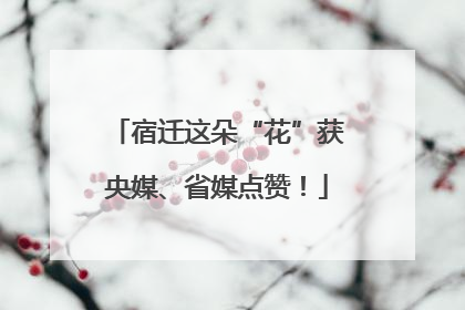 宿迁这朵“花”获央媒、省媒点赞！