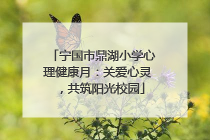宁国市鼎湖小学心理健康月：关爱心灵，共筑阳光校园