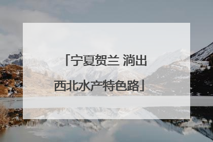 宁夏贺兰 淌出西北水产特色路