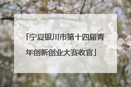 宁夏银川市第十四届青年创新创业大赛收官