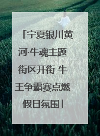 宁夏银川黄河·牛魂主题街区开街 牛王争霸赛点燃假日氛围