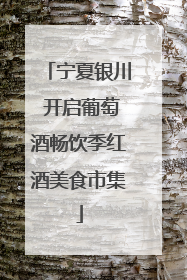 宁夏银川 开启葡萄酒畅饮季红酒美食市集